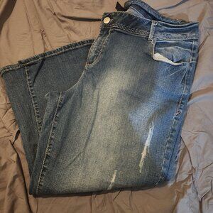 Lane Bryant Capri Size 20